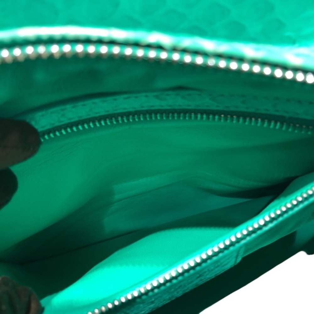 Christian Dior Medium Green Python Shoulder Bag - image 7